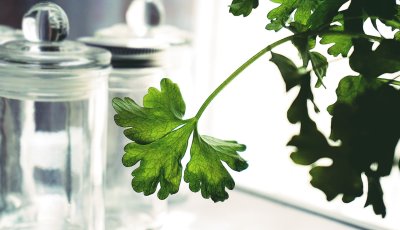 Een groene keuken is meer dan alleen groene kastjes